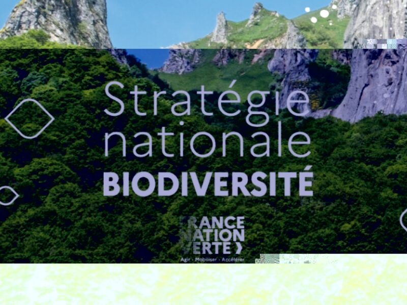 Biodiversité : Consultation SNB (Stratégie Nationale Biodiversité)