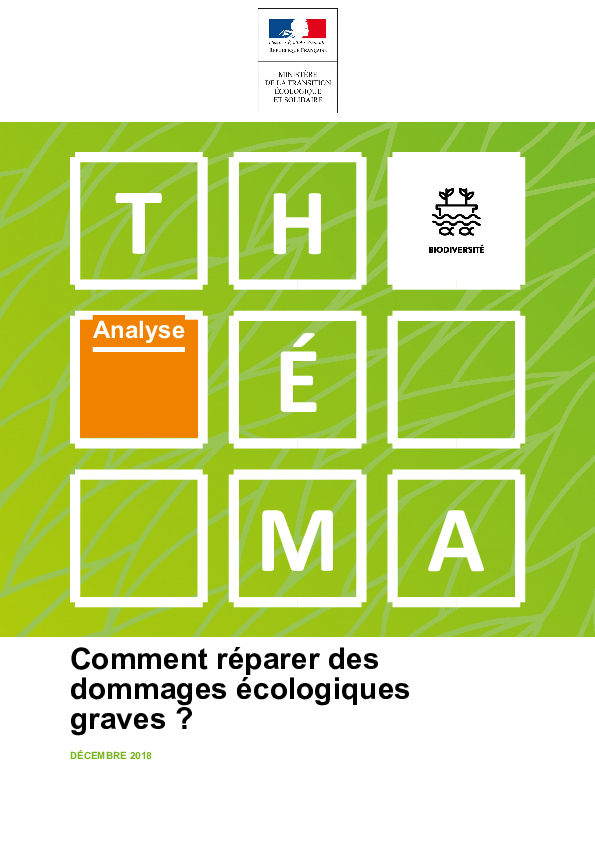 2018 12 CGDD Comment réparer des dommages écologiques graves.pdf