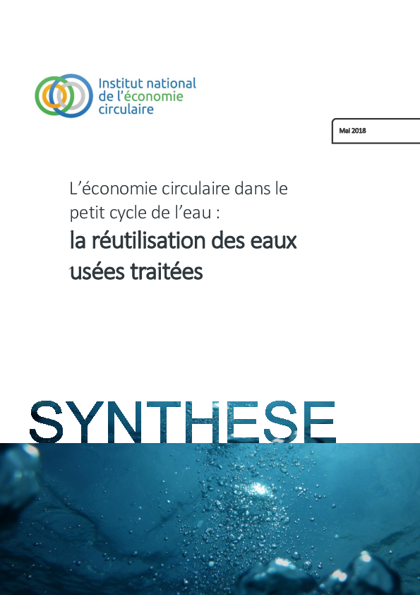 2018 05 synthese reut Institut économie circulaire.pdf