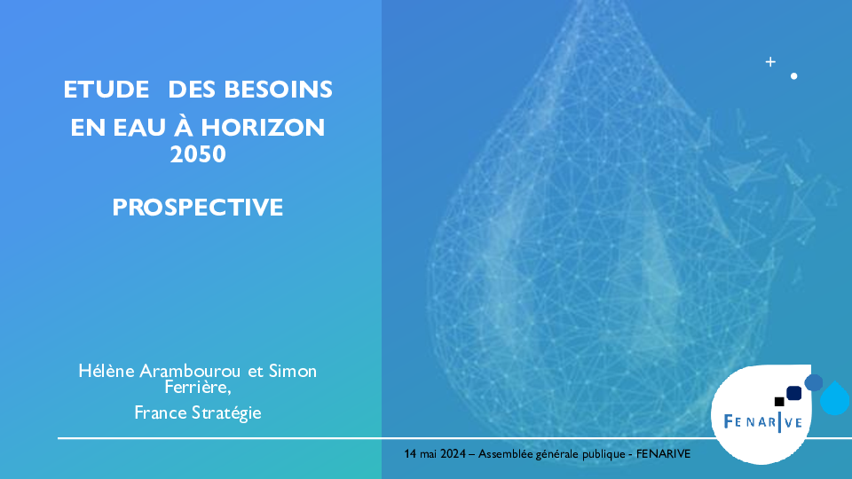 2- 2024 05 14 - AG FENARIVE -France-Stratégie.pdf