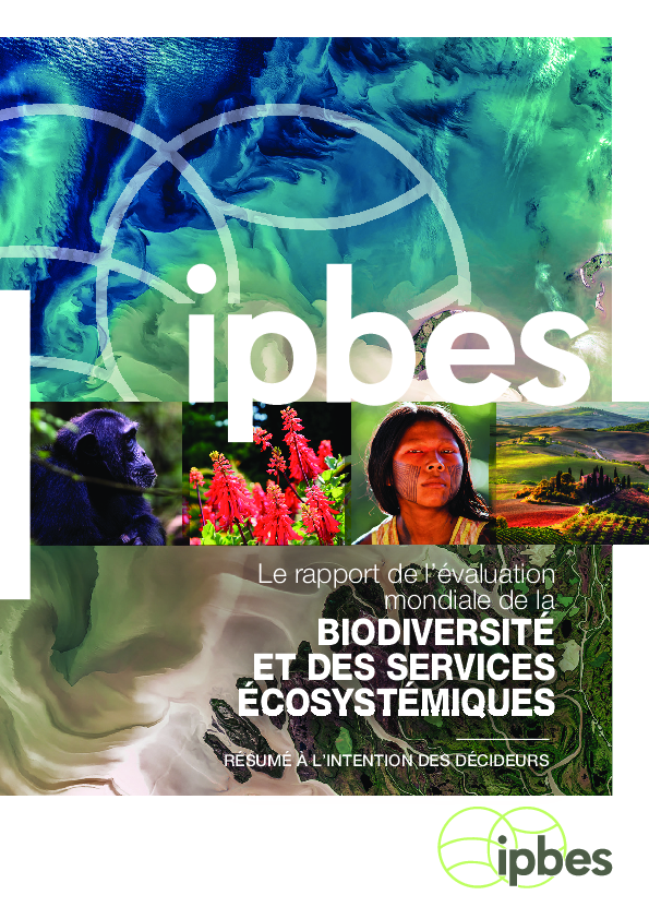 ipbes_global_assessment_report_summary_for_policymakers_fr.pdf